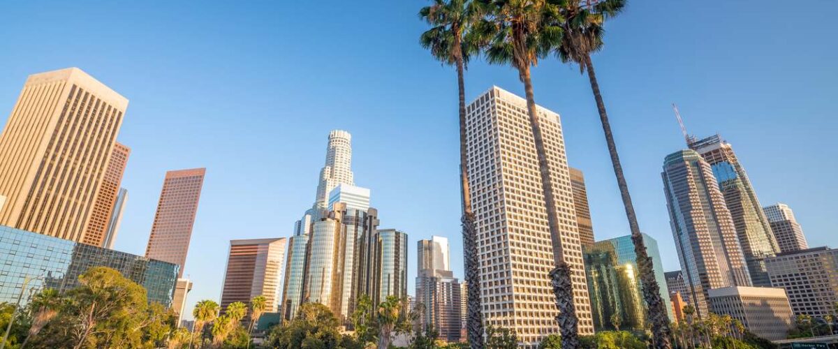 A street view of palm trees and skyscrapers towering over downtown Los Angeles, CA.