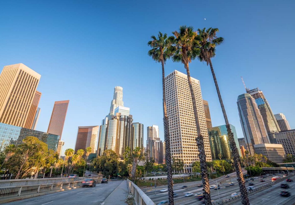 A street view of palm trees and skyscrapers towering over downtown Los Angeles, CA.