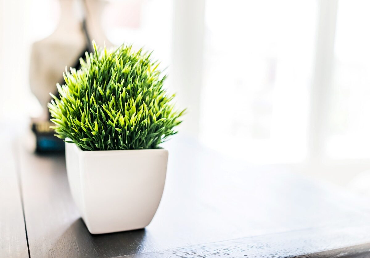A potted plastic fern sitting on a brightly lit wooden table.
