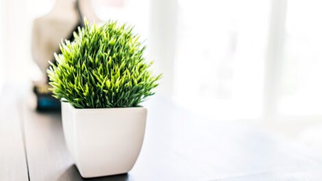 A potted plastic fern sitting on a brightly lit wooden table.